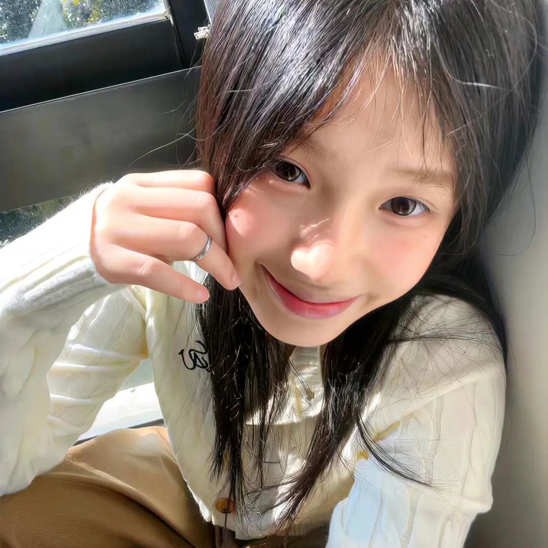 美国派9海报